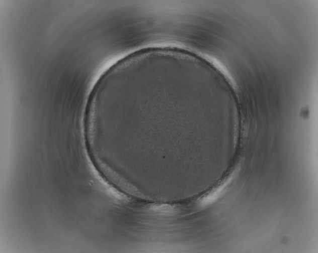 X0000090990943200708161914