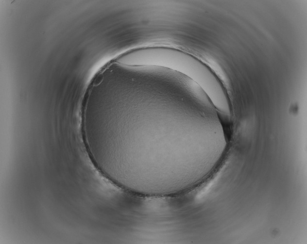 X0000090990944200708161914