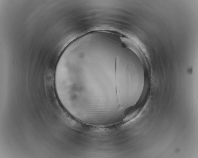 X0000090990945200708161914
