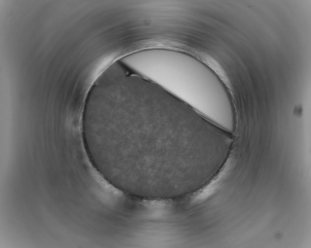 X0000090990946200708161914