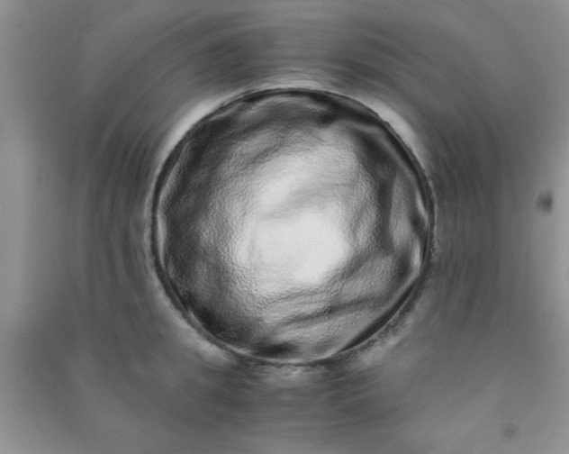 X0000090990949200708161914