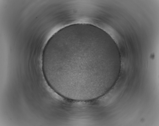 X0000090990950200708161914