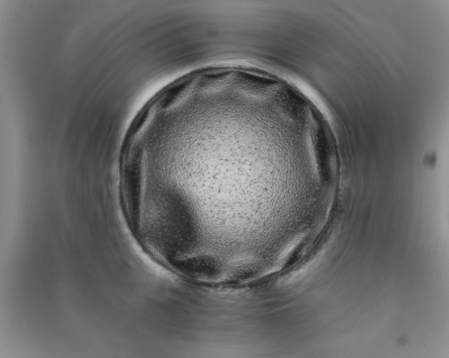 X0000090990951200708161914