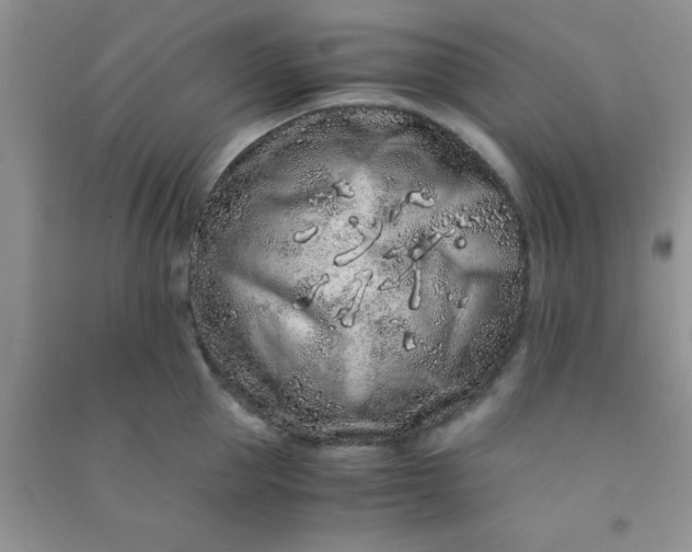 X0000090990953200708161914