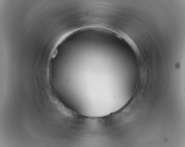 X0000090990956200708161914