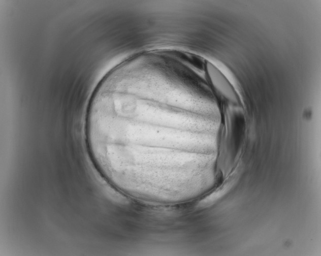 X0000090990957200708161914