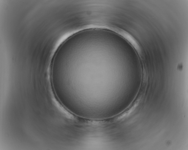 X0000090990958200708161914