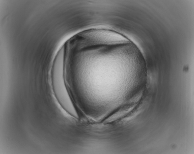 X0000090990959200708161914