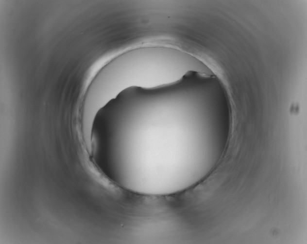 X0000090990960200708161914