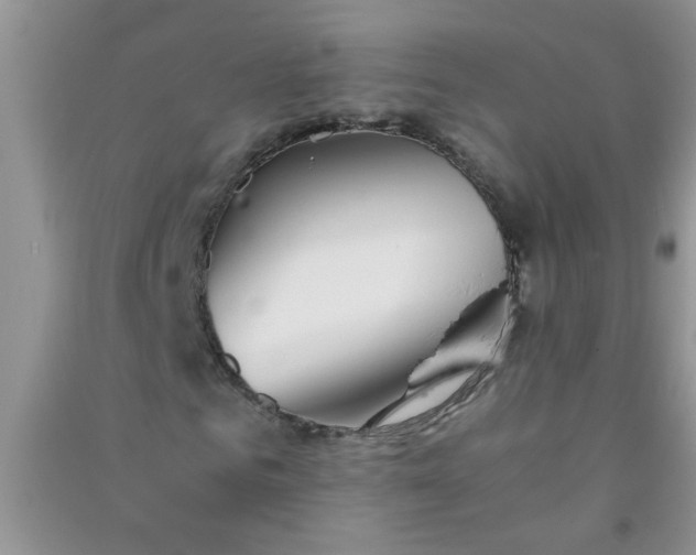 X0000090990961200708161913