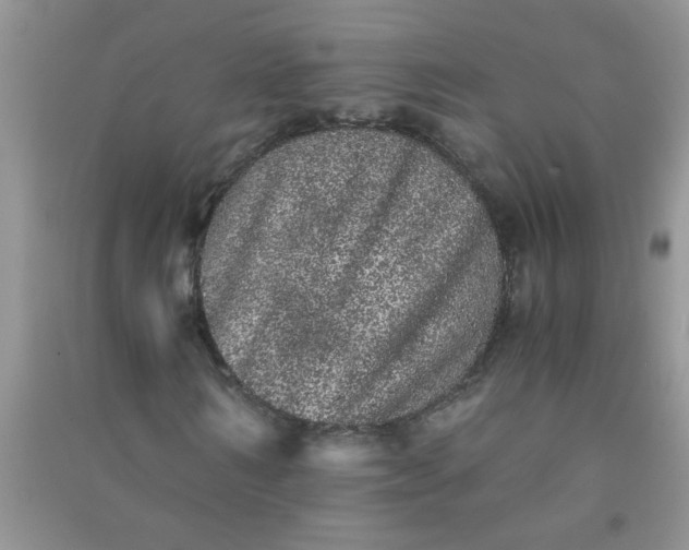X0000090990962200708161913