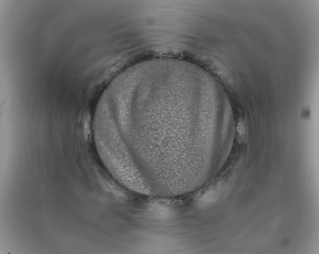X0000090990963200708161913