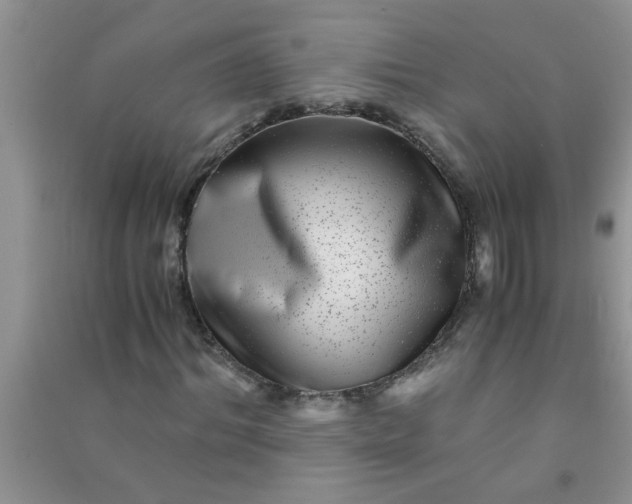 X0000090990964200708161913
