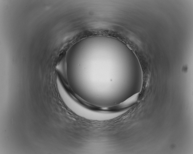 X0000090990965200708161913