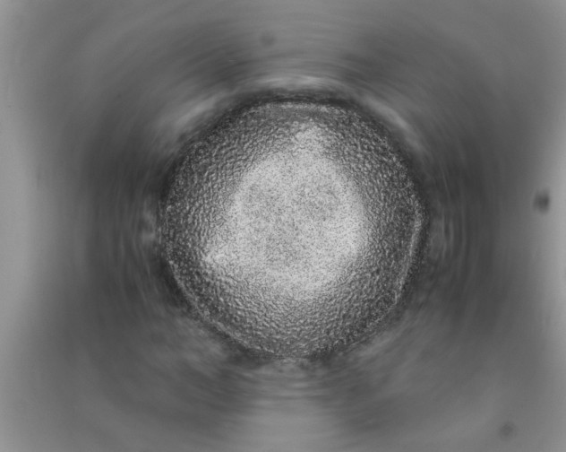 X0000090990966200708161913