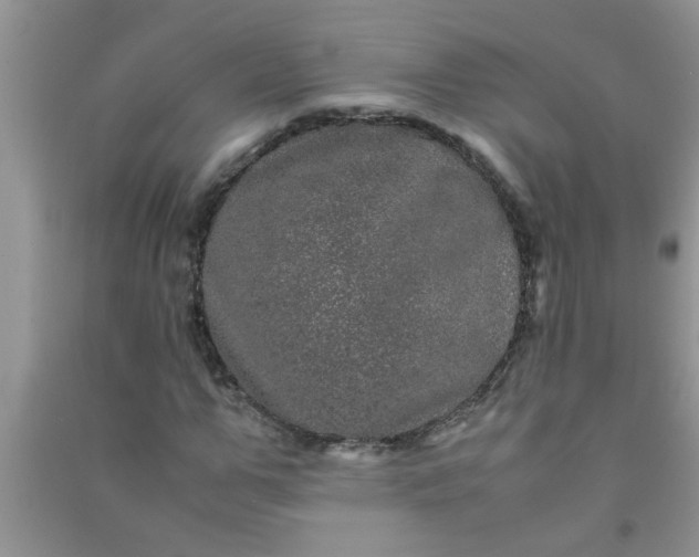 X0000090990967200708161913