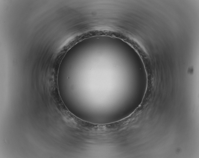 X0000090990968200708161913