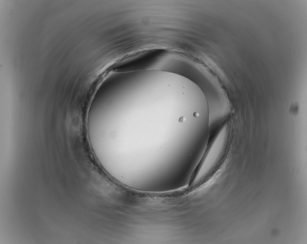 X0000090990969200708161913