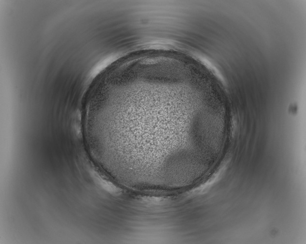 X0000090990970200708161913
