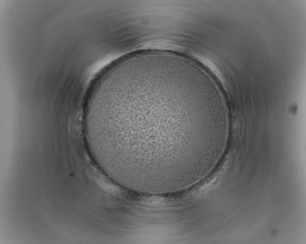 X0000090990971200708161913