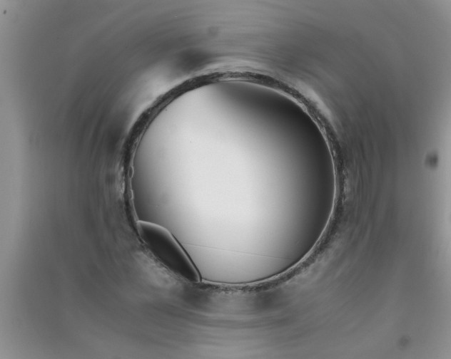 X0000090990973200708161913