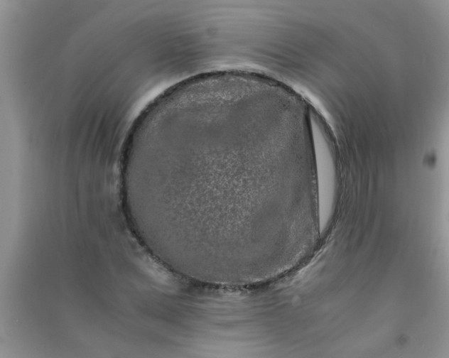 X0000090990975200708161913