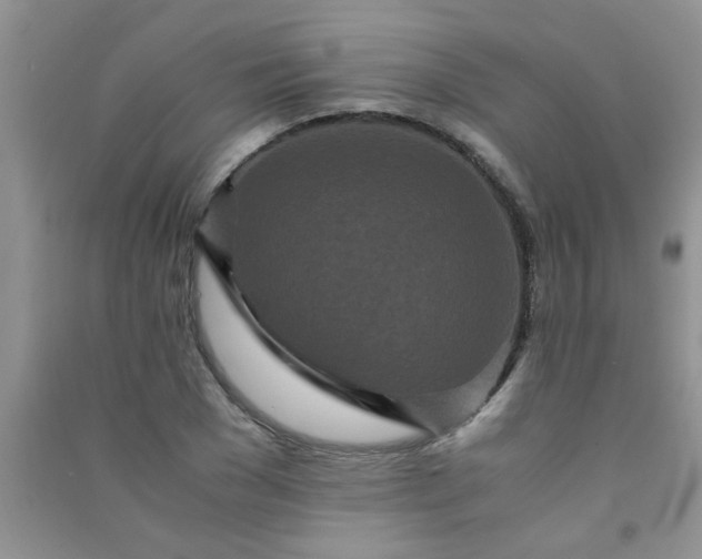 X0000090990977200708161913