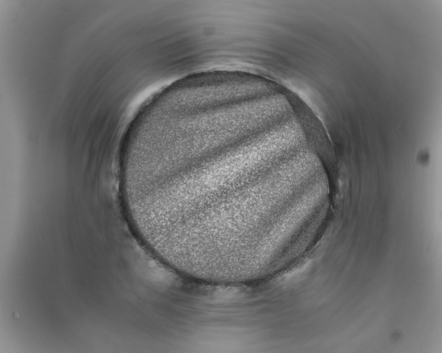 X0000090990979200708161913