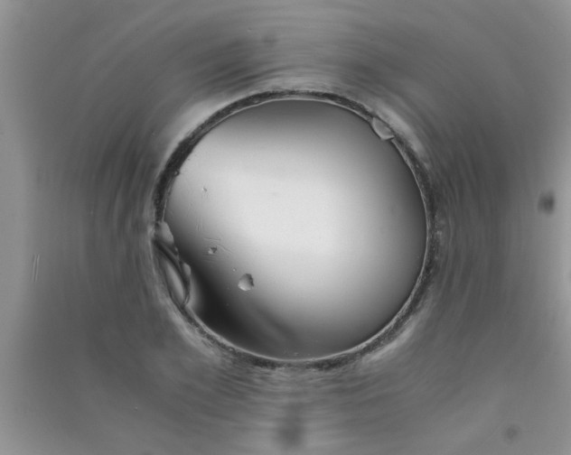 X0000090990981200708161913