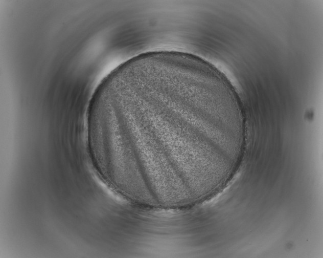 X0000090990982200708161913