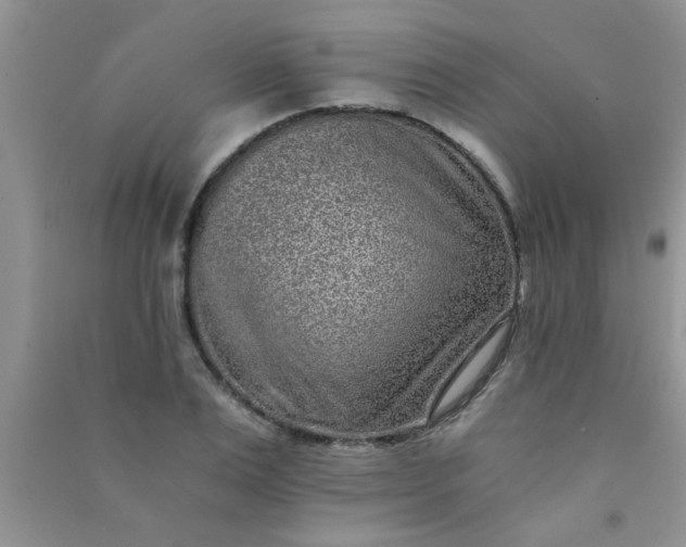X0000090990983200708161913