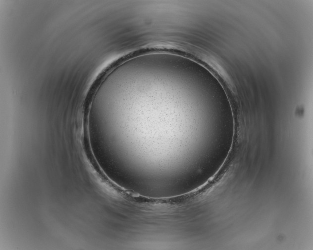 X0000090990984200708161913