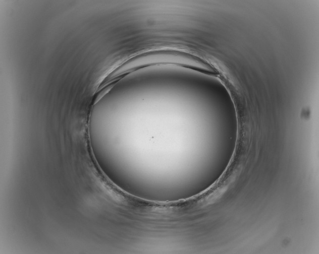 X0000090990985200708161913