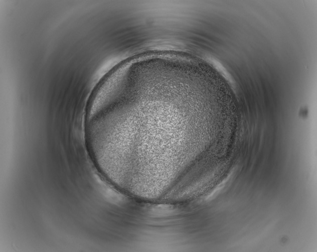 X0000090990986200708161913