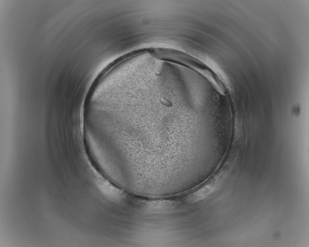 X0000090990988200708161913