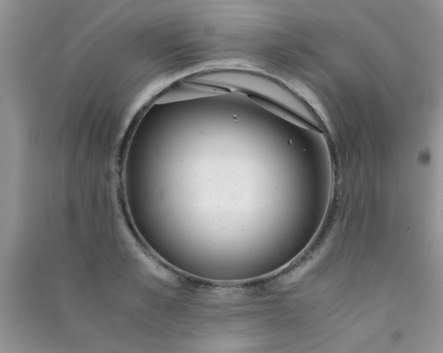 X0000090990989200708161913