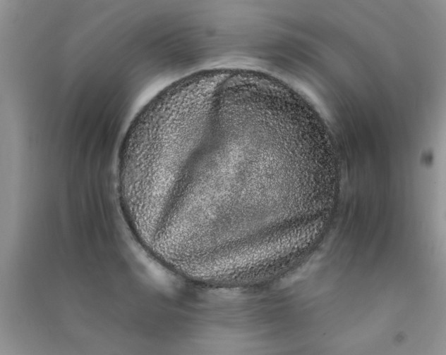 X0000090990990200708161913