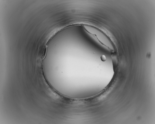 X0000090990993200708161913