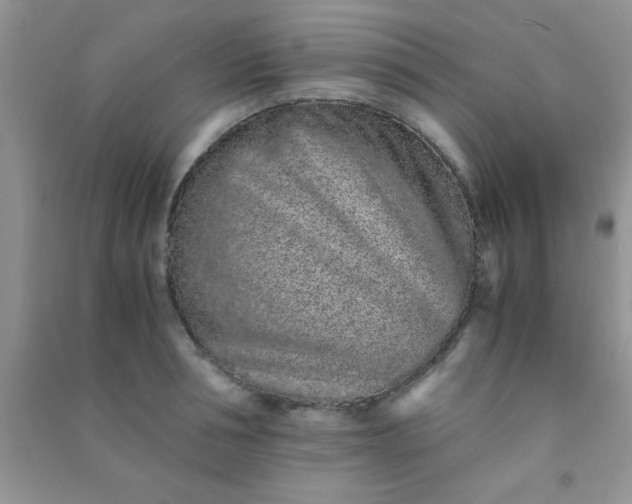 X0000090990994200708161913