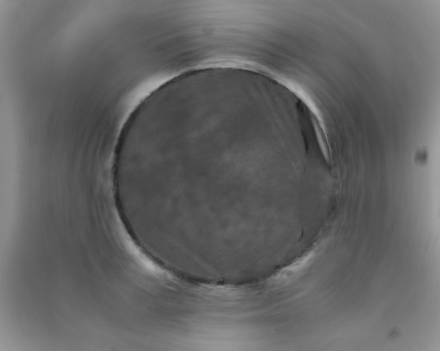 X0000090990995200708161913