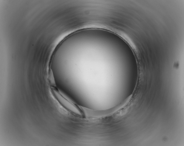 X0000090990996200708161913