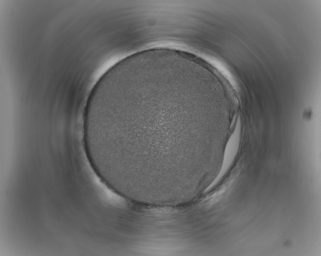 X0000090990999200708161913