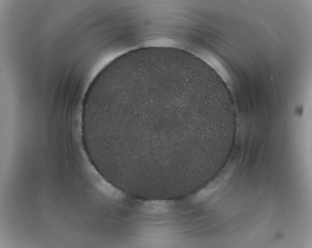 X0000090991000200708161913