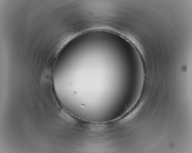 X0000090991001200708161913