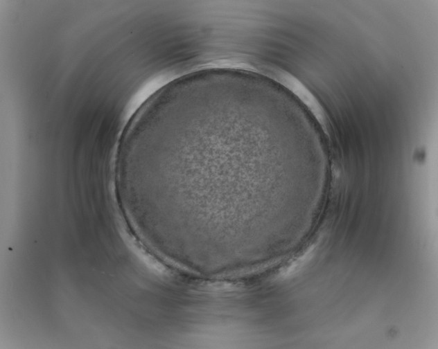 X0000090991002200708161913