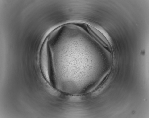 X0000090991004200708161913