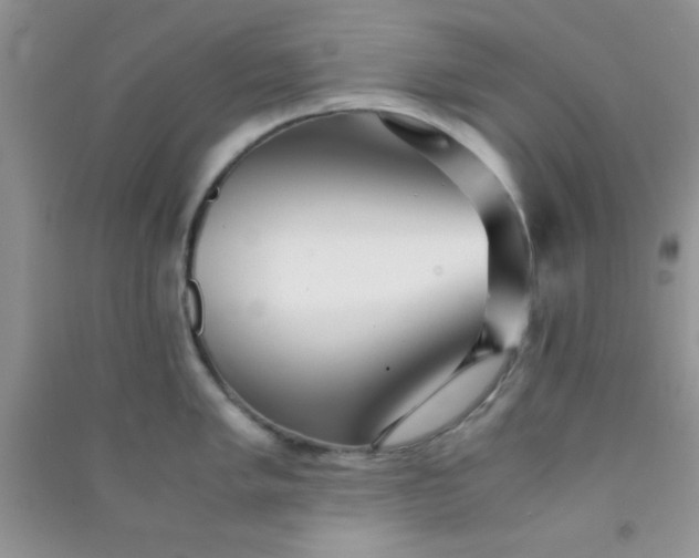 X0000090991005200708161913