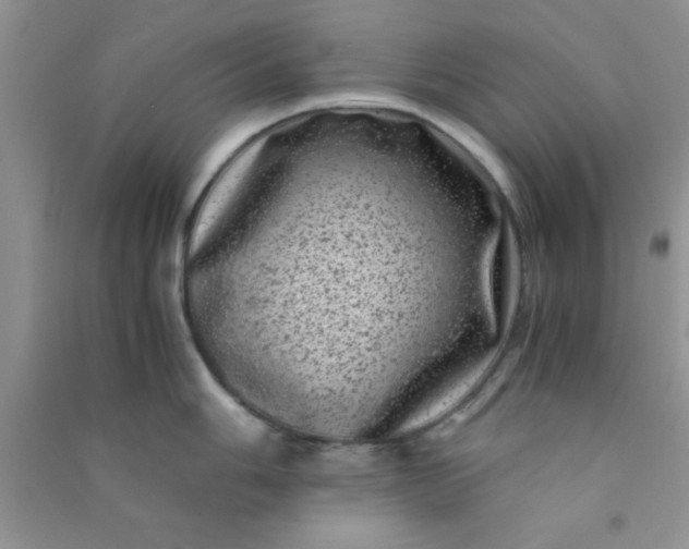 X0000090991006200708161913