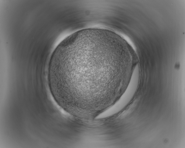 X0000090991007200708161913
