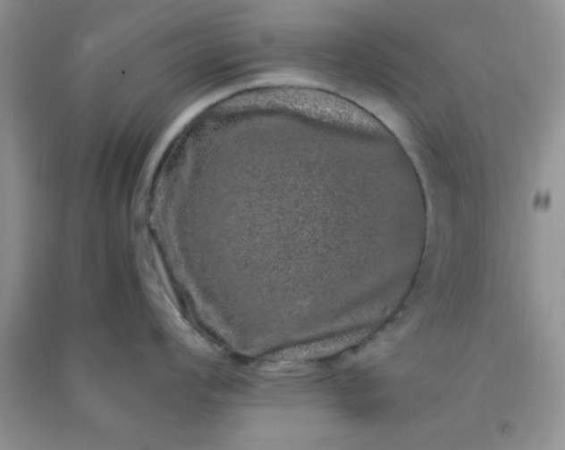 X0000090991008200708161913